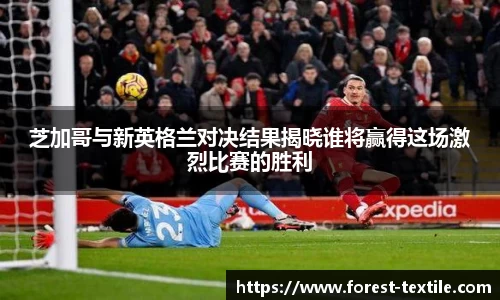 芝加哥与新英格兰对决结果揭晓谁将赢得这场激烈比赛的胜利