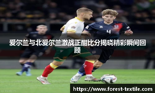 爱尔兰与北爱尔兰激战正酣比分揭晓精彩瞬间回顾