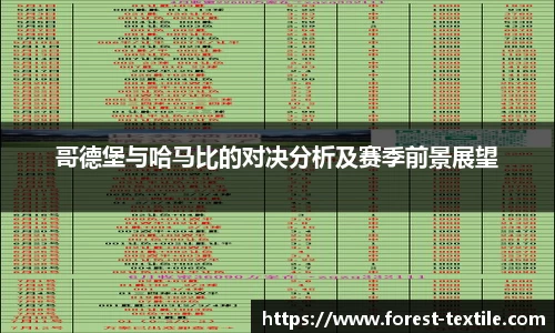 哥德堡与哈马比的对决分析及赛季前景展望