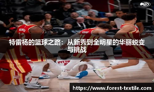 特雷杨的篮球之路：从新秀到全明星的华丽蜕变与挑战
