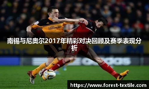 南锡与尼奥尔2017年精彩对决回顾及赛季表现分析