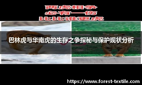 巴林虎与华南虎的生存之争探秘与保护现状分析